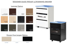 PS Custom Designer Glass Trolley w/Warming Drawer 2025