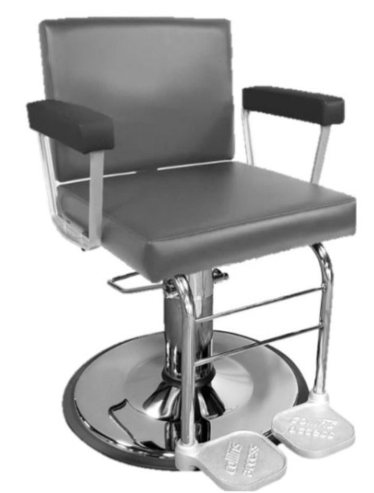 **NEW** PS Exclusive Kristin Modern ACCESS All-Purpose Chair