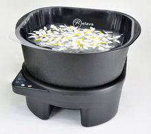 PS Exclusive Kurve Club Pedi Chair (Plumbless)