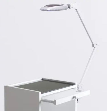 PS Custom Mag Lamp