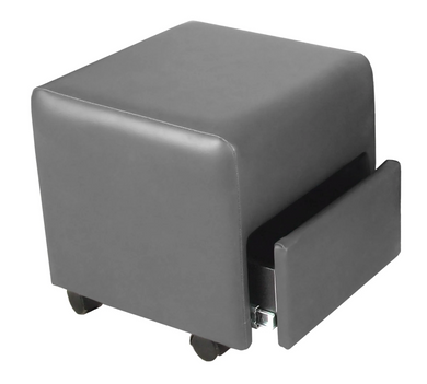PS Exclusive Portable Ottoman w/Storage