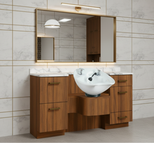 PS Exclusive ADA* 56" Classic Low Wet Station 2025