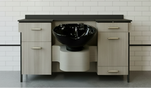PS Exclusive Luxe ADA* Wet Station